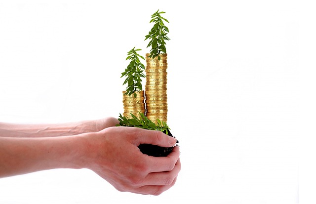 Two hands holding stacks of gold coins with small plants growing from the top, symbolizing investment.