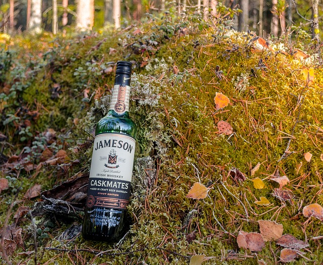 A bottle of Jameson Caskmates Irish Whiskey rests on a bed of moss and leaves in a forest setting.