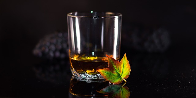 A glass of whiskey with a colorful leaf on a dark reflective surface.